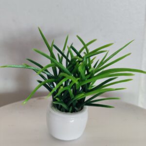 Miniatura planta 4