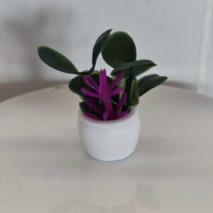 Miniatura planta 3