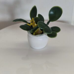 Miniatura planta 2