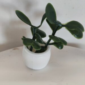 Miniatura planta 1