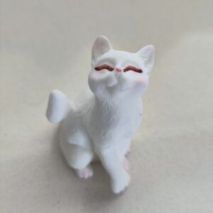 Miniatura gato 2